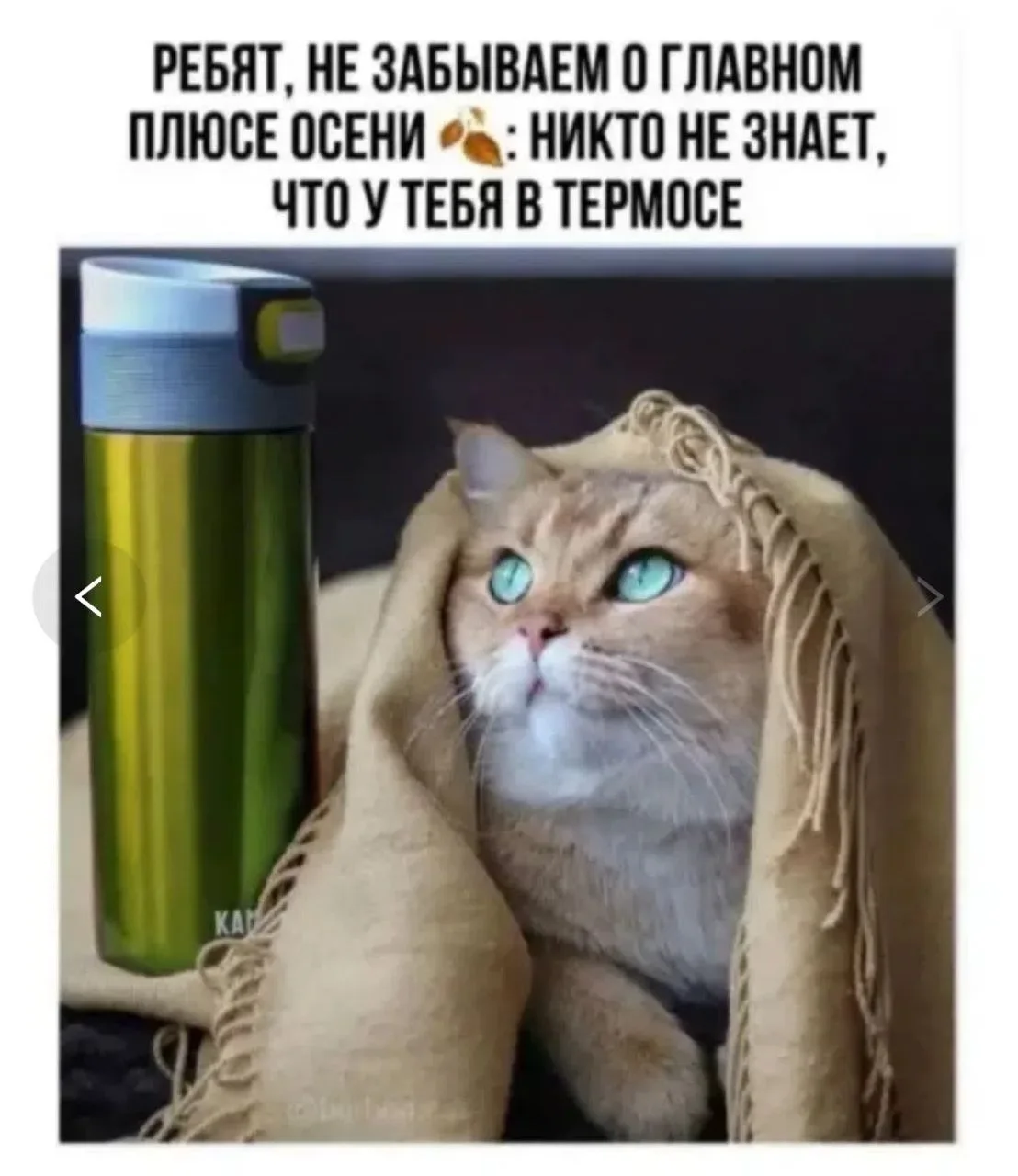 Во всём есть плюсы! 😂