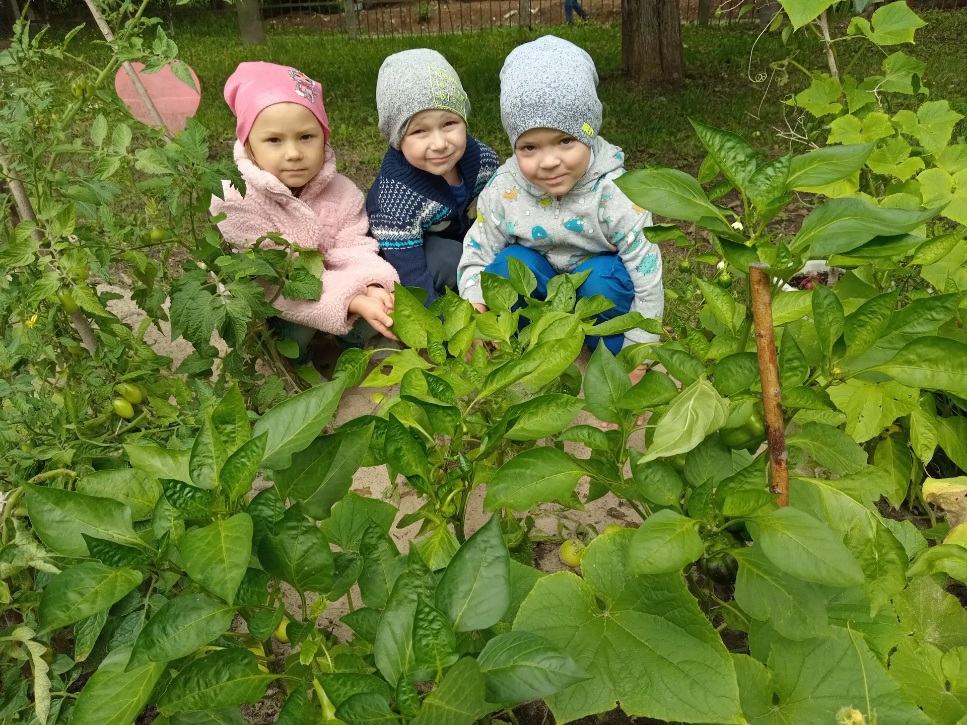 Лето — сезон здоровья, когда мы не только заряжаемся бодростью и хорошим настроением на целый год, н