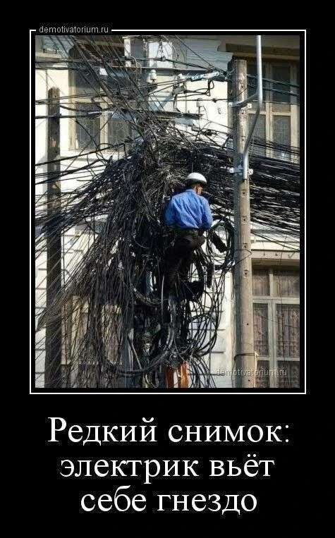 Наши читатели уверены, что в свете последних событий в каждом поселке нужно завести свою бригаду эле