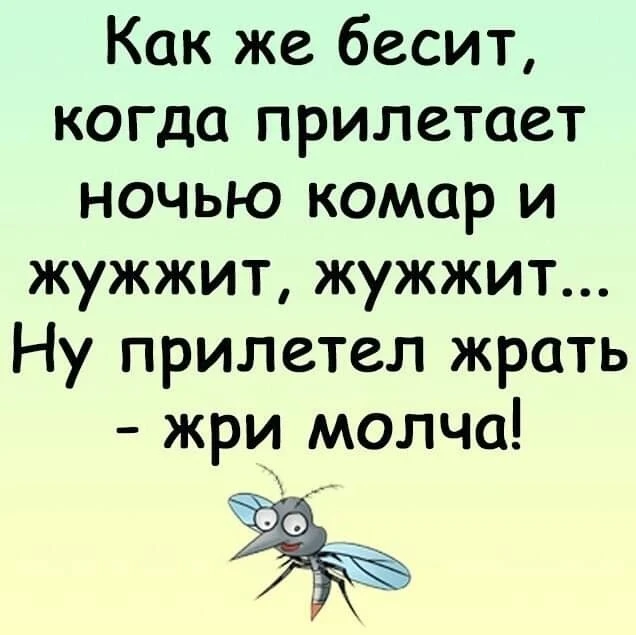 Женский юмор