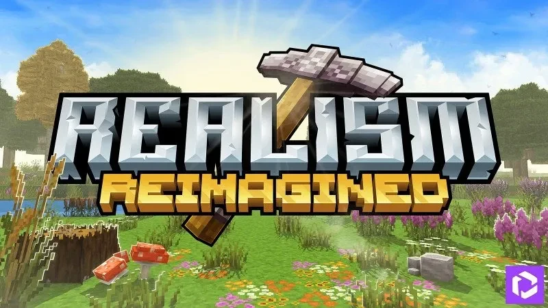 DLC Realism Reimagined HD ❗️