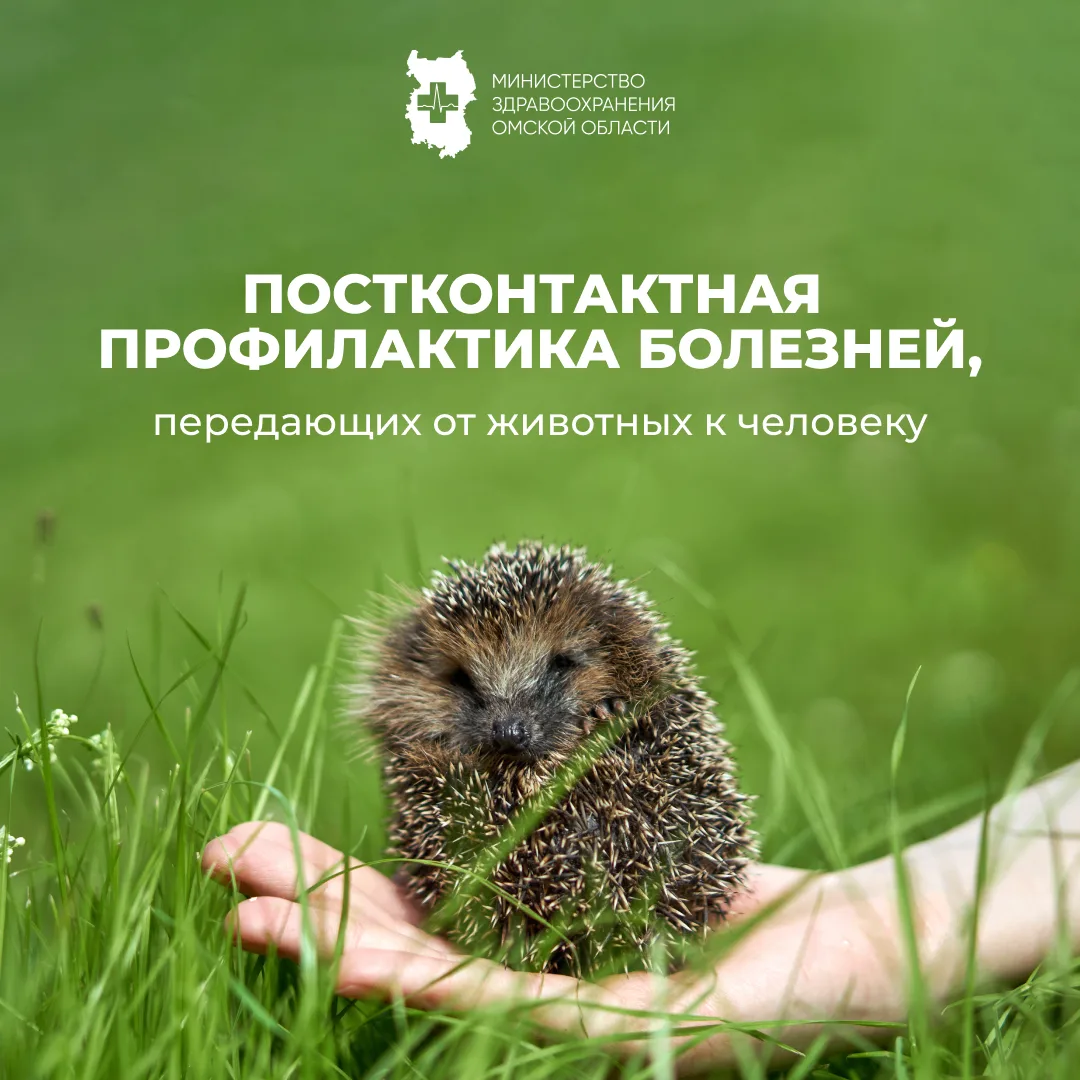 Профилактика инфекций, передающихся от животных человеку.
