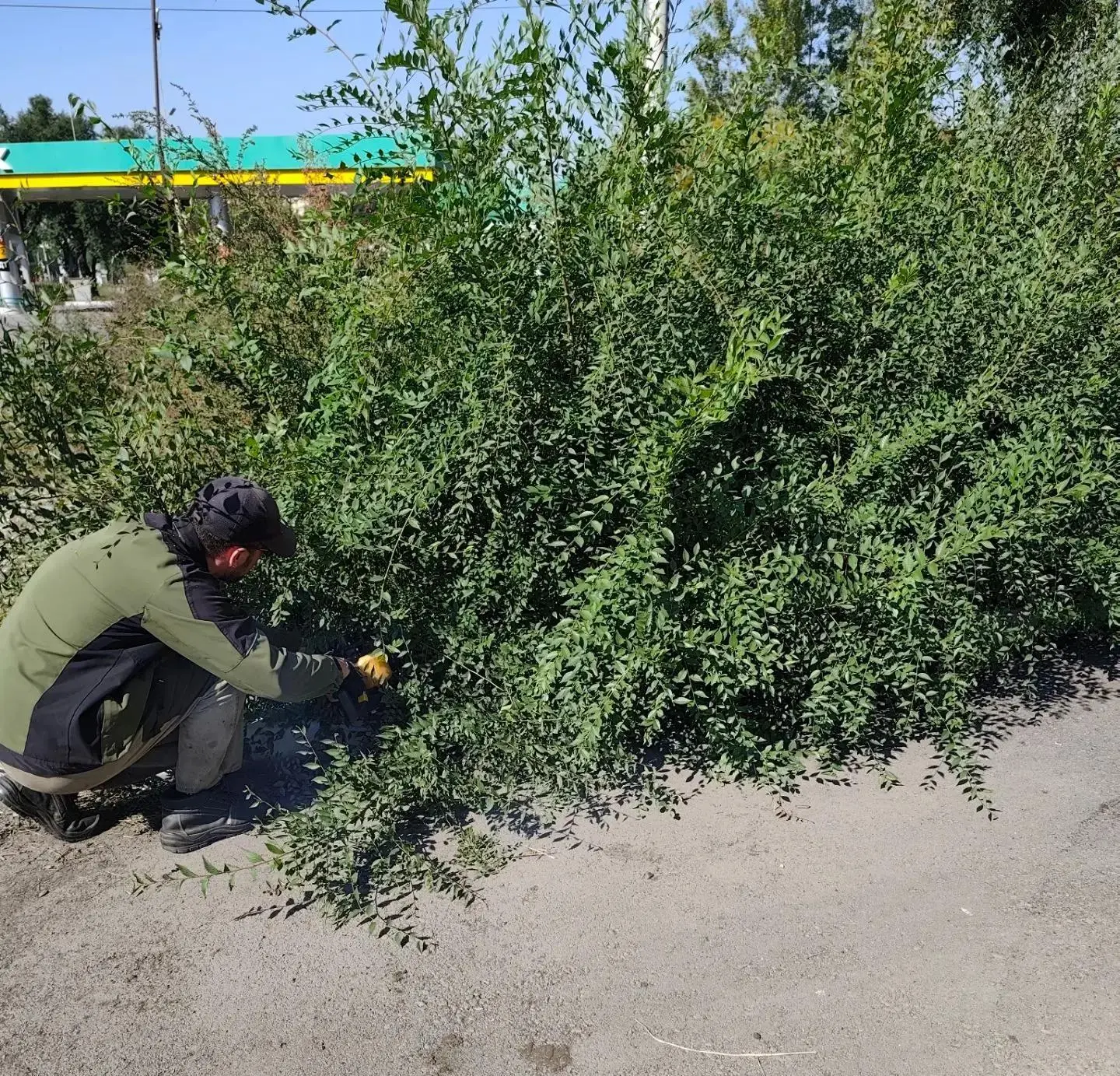 Уважаемые подписчики и жители Абакана!