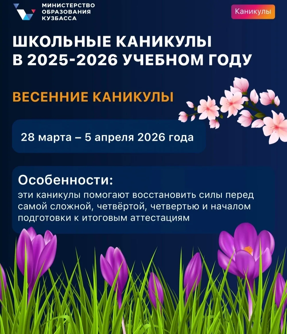 ✨ Дорогие друзья! ✨