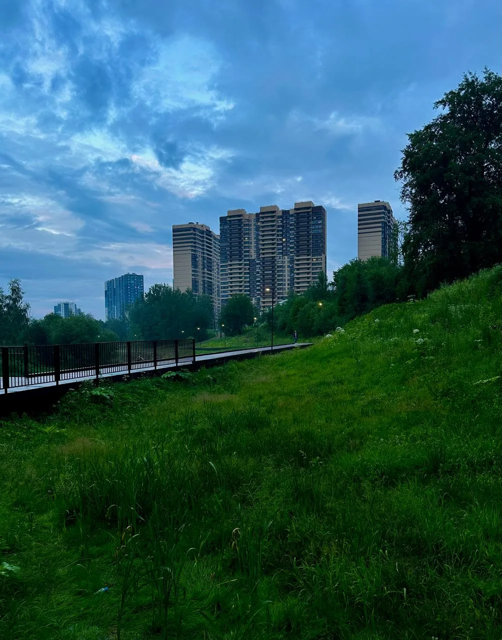 Мурино красивое зелёное ☺️