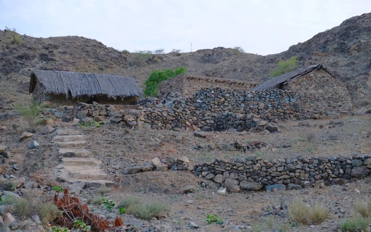 Вот уже 250 лет замок Al Hayl неустанно охраняет склоны Хаджарских гор.  Это «Архпросвет Иванович», 