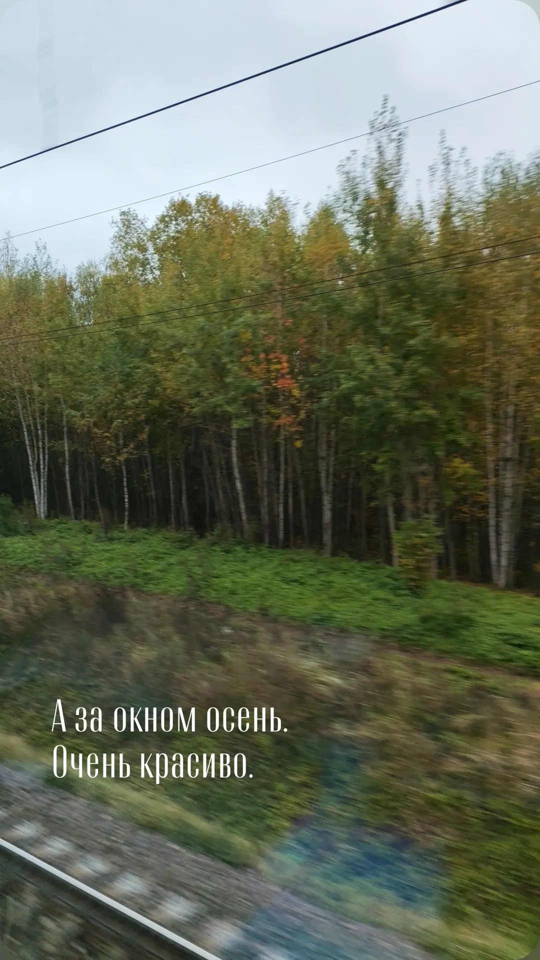 Дорога домой.
