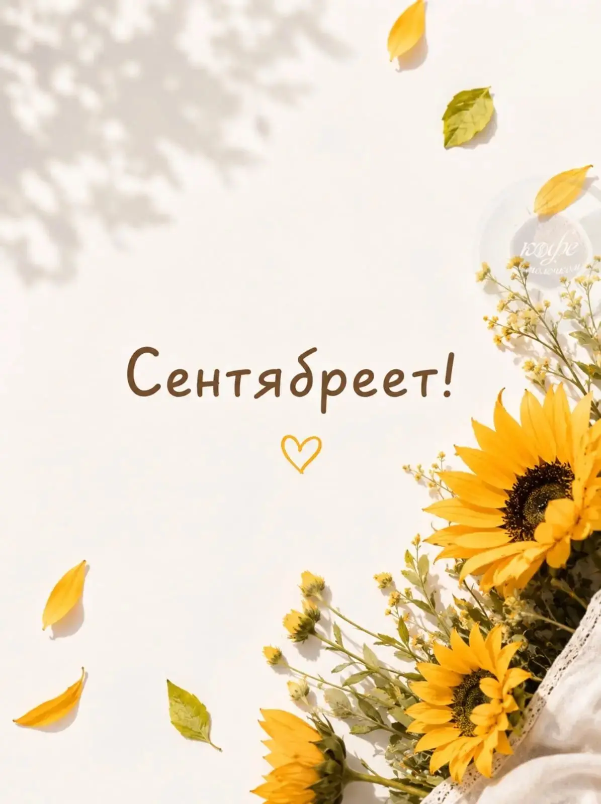 🗓 01 сентября в будний день!