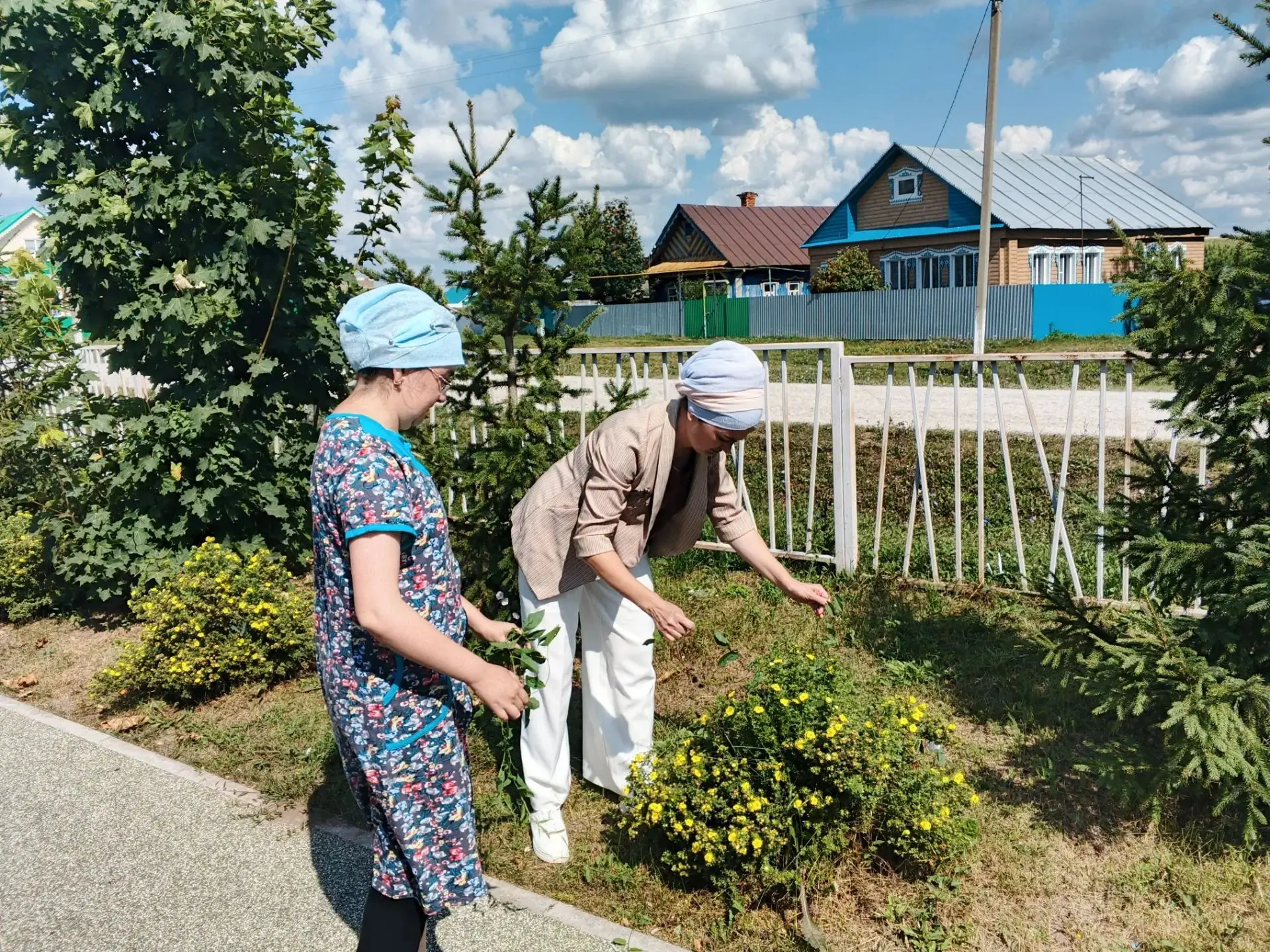 🌿🌼🌱ЗНАКОМСТВО С ЛЕКАРСТВЕННЫМИ РАСТЕНИЯМИ