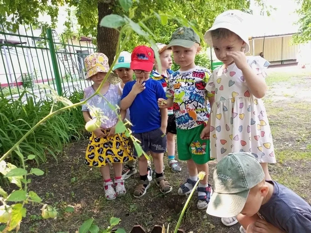 ☀️Сегодня в 11 группе занимательные события
🐥🐥🐥 Утром прошла тематическая зарядка «Веселые птички
