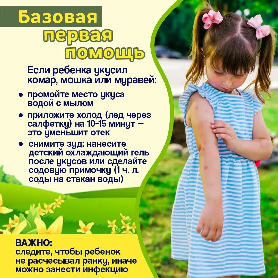 🦟 Осторожно, насекомые! Как защитить ребёнка и оказать первую помощь 🐝

Уважаемые родители!
☀️Лето