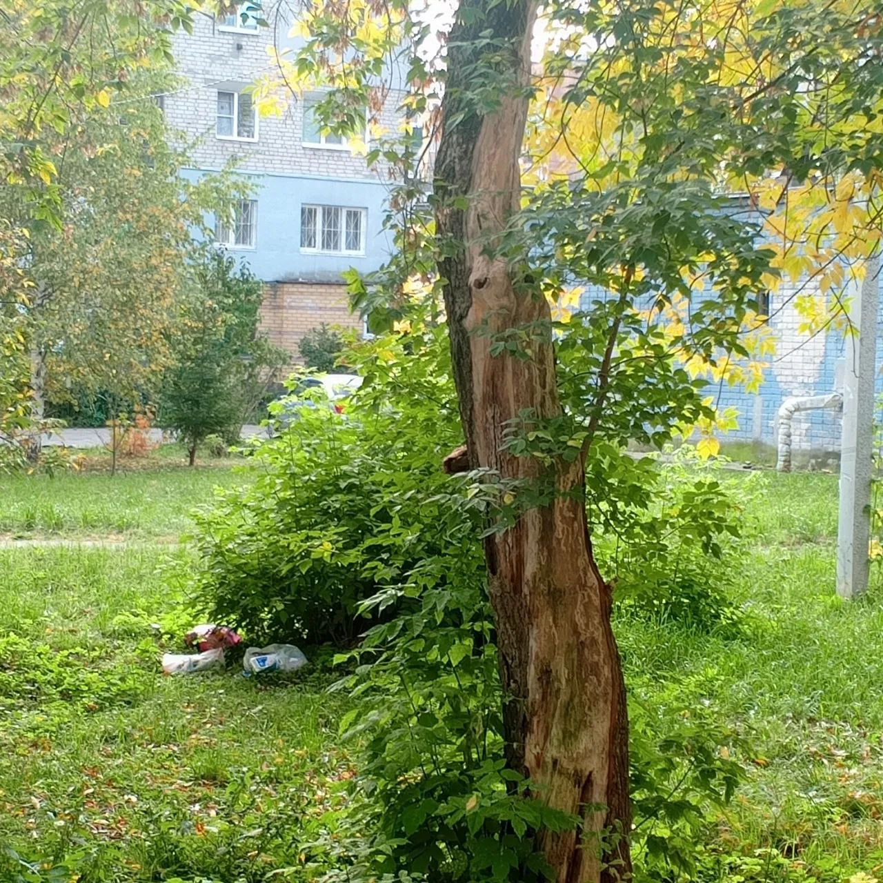 Начался очередной сброс мусора в кусты.. Как медом намазано! Уважаемые родители, которы...