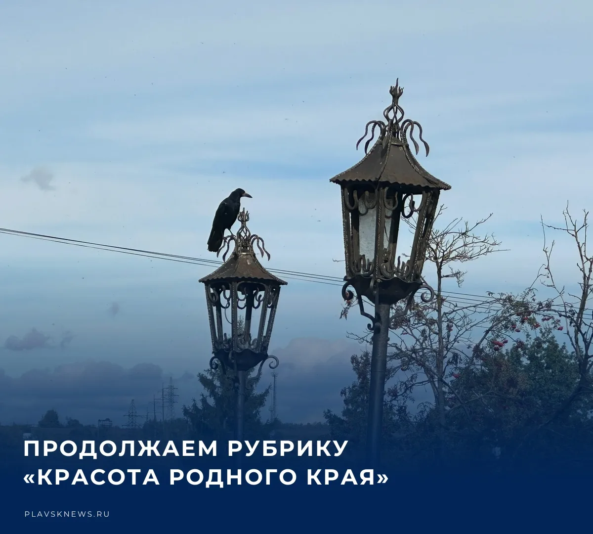 📸 Редакция «Плавской нови» продолжает рубрику «Красота родного края».​