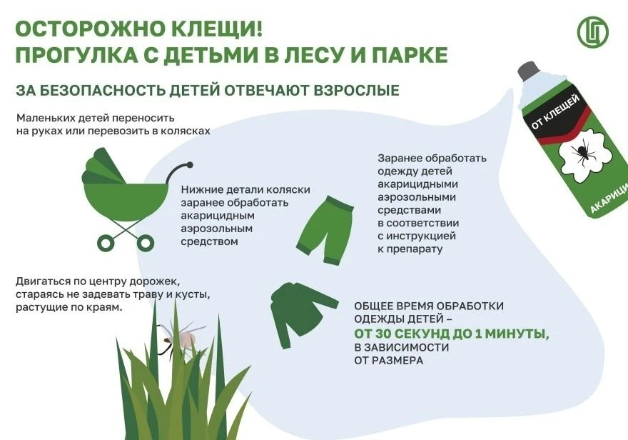 🍀 Весна на природе — без укусов и волнений