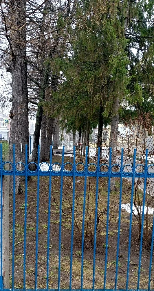🍃В нашей школе стартовал весенний этап экологических мероприятий. В программе: санитарная очистка те