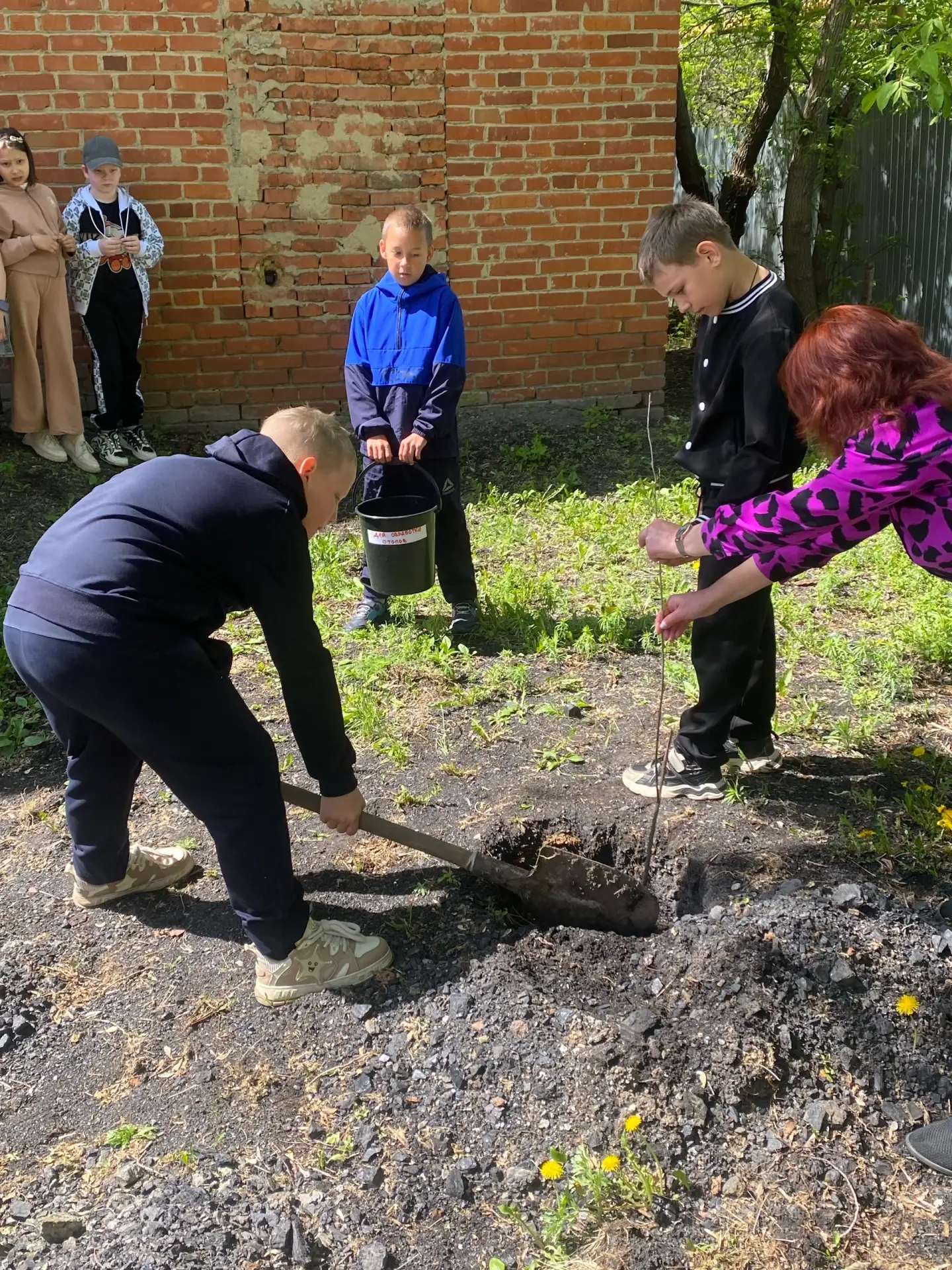 🌿 Сегодня мы посадили «Сад памяти»! 🌿

Сегодня в нашей школе состоялось важное и трогательное собы