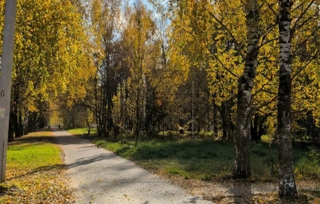Каныш кечылаште республикыште йӱкшемда.