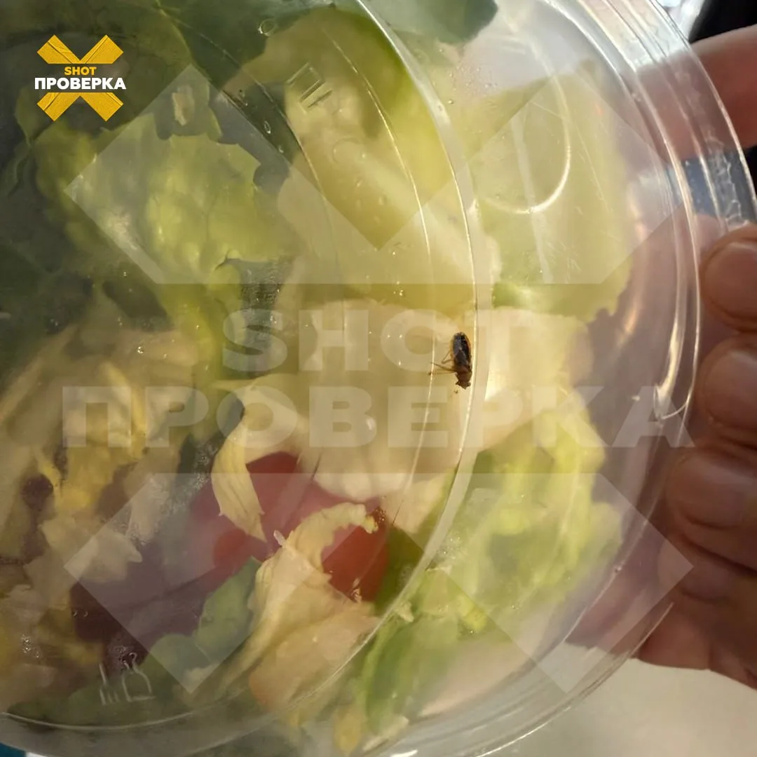 Мёртвого жука в салате из «ВкусВилла» обнаружил подписчик SHOT ПРОВЕРКИ

Как рассказал москвич Серге