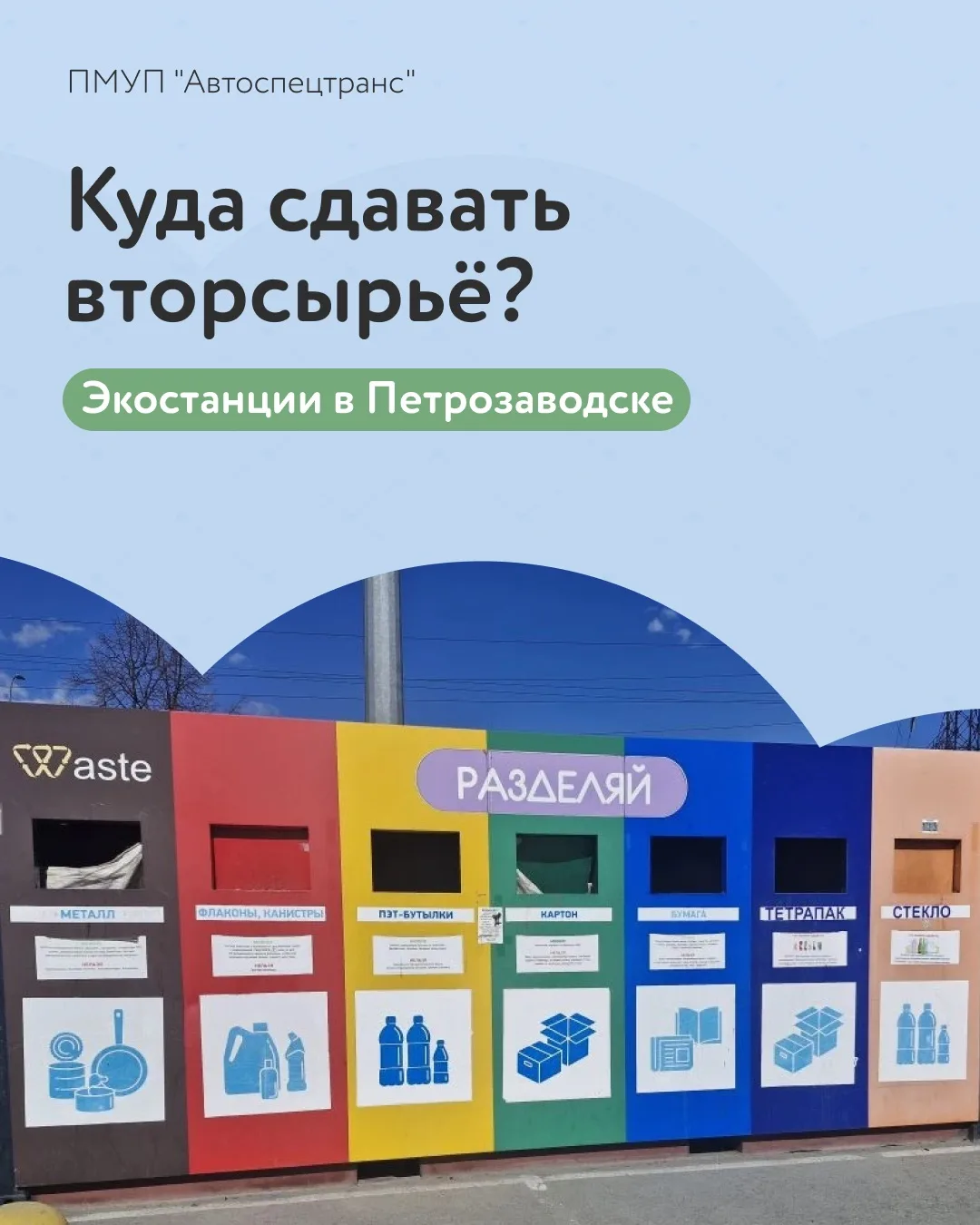 Разделяй! 🌿
