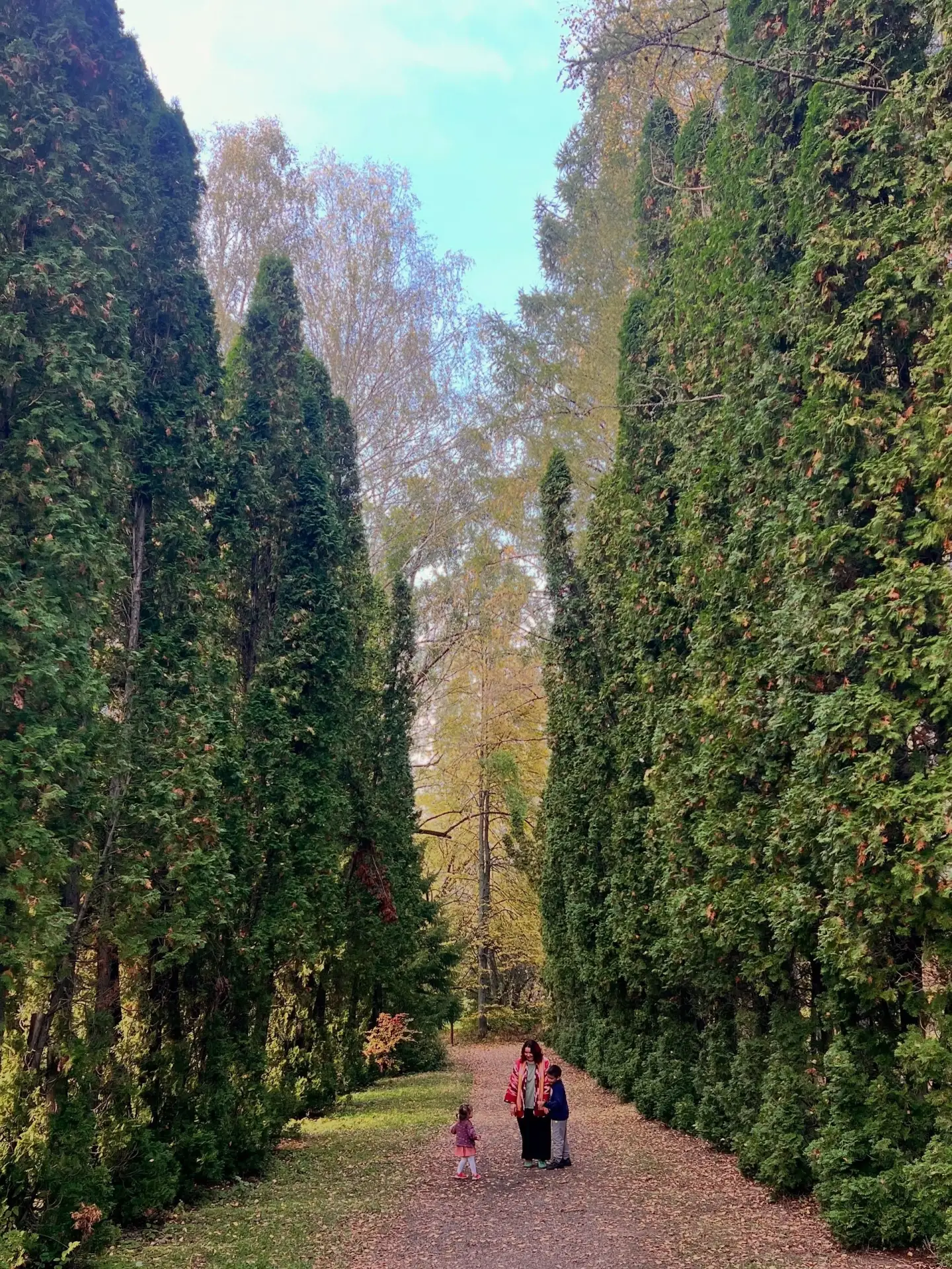 Осень в Волжско-Камском заповеднике 🍂