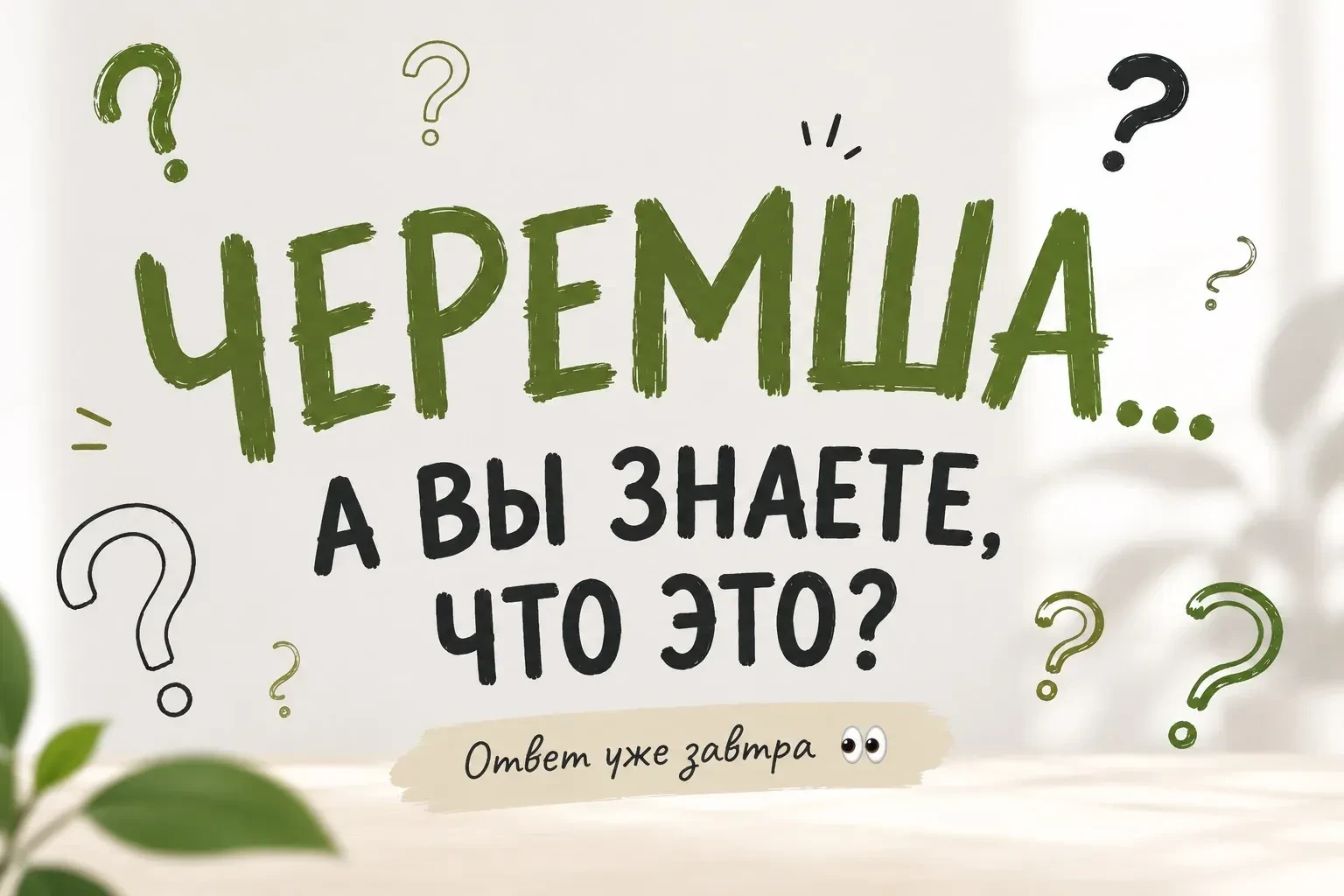 🤔 Черемша… А вы знаете, что это такое?
Последние дни это слово буквально захватило интернет. Его об