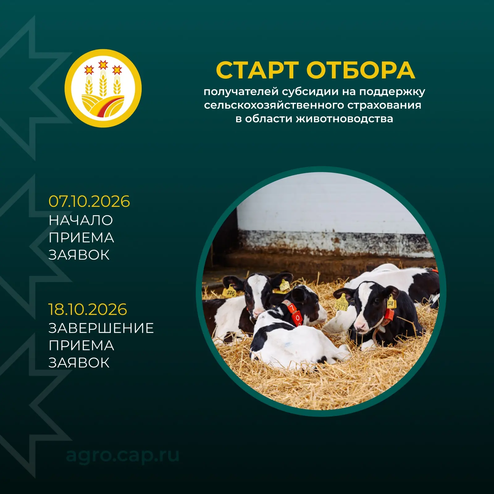 🐄 Защищаем будущее сельского хозяйства: новые возможности для животноводов республики!🌾