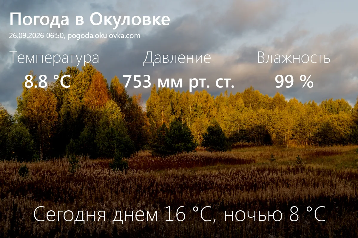 Доброе утро! Сейчас в Окуловке 8.8 °C, давление 753 мм.рт.ст., влажность 99%.