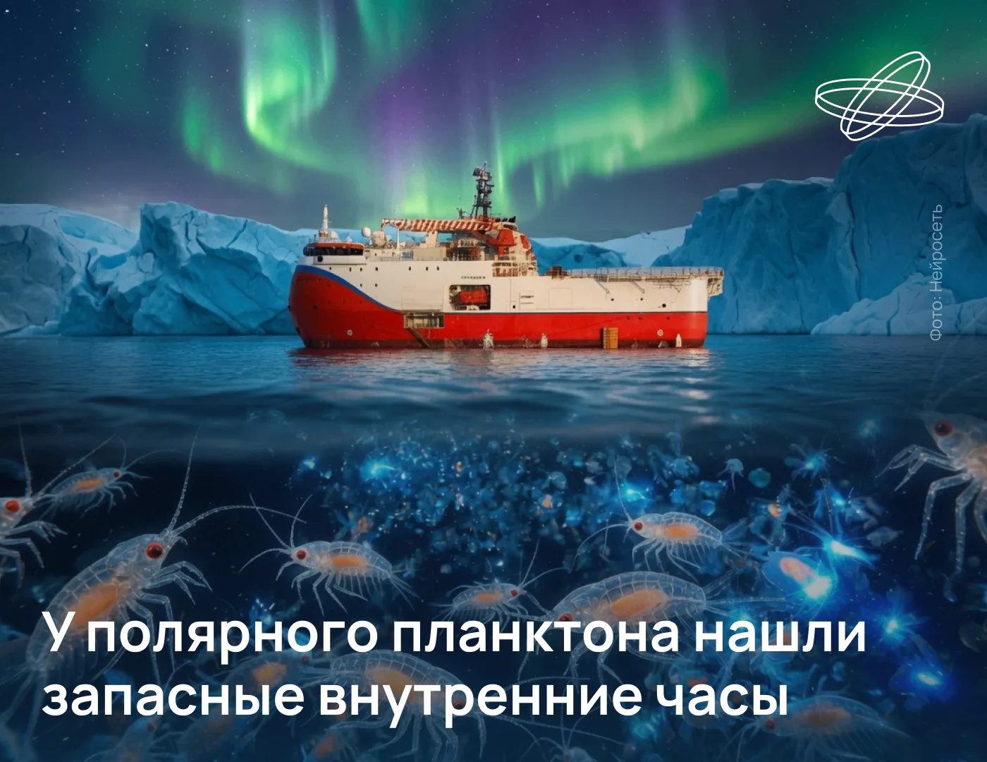 В условиях продолжающейся несколько месяцев полярной ночи биоритмы планктонных организм...