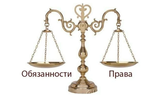 к имуществу семьи;