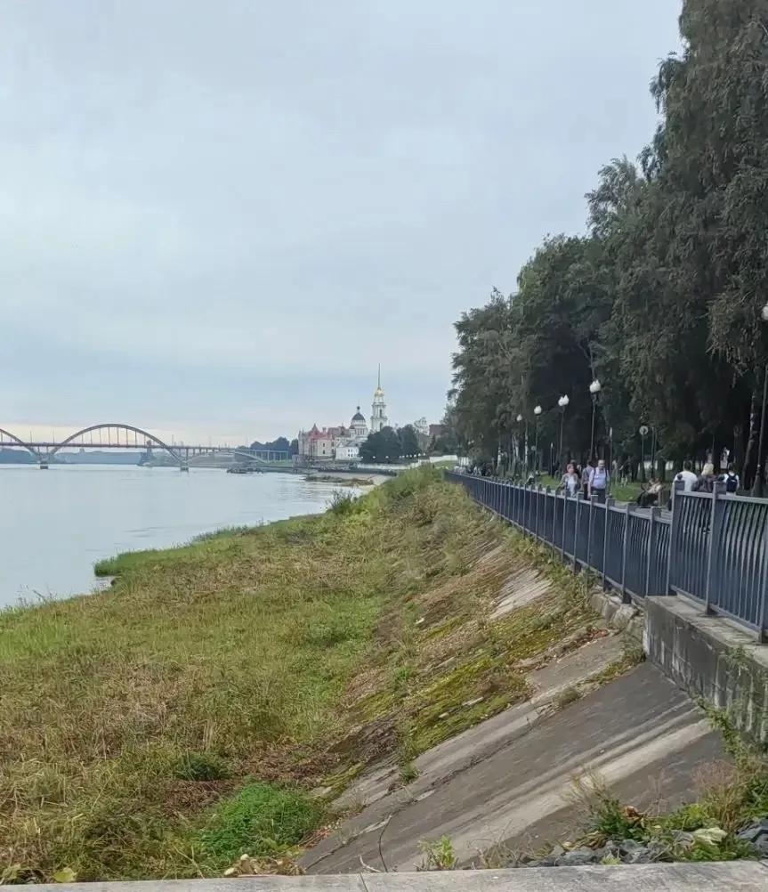 В Рыбинске завершили расчистку берега Волги от зарослей.