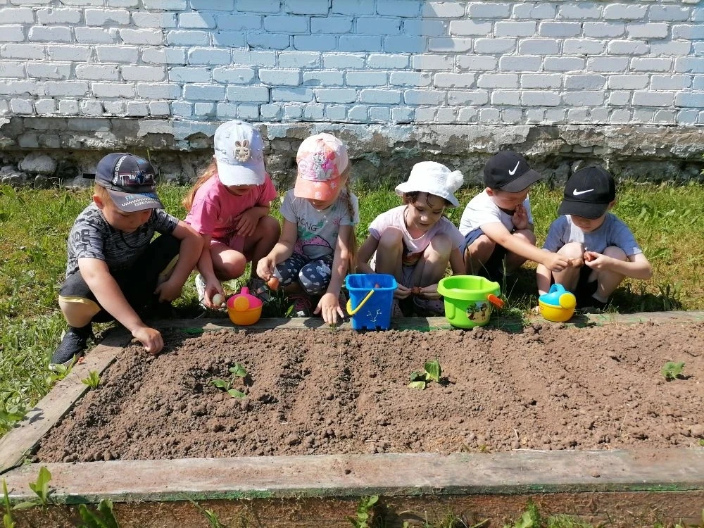 Мы посадили огород, 
Наблюдаем, как растет... 
🌱🌱🌱🌱🌱🌱🌱🌱
Доброй традицией в нашем детскои сад