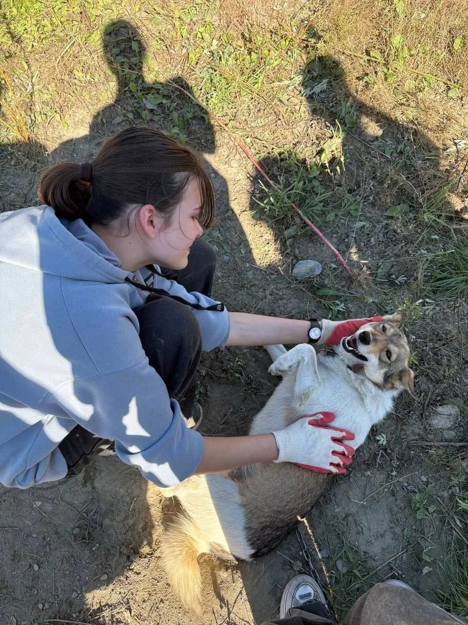 🐾 В эту субботу наша команда волонтёров выехала в Приют-«Держи лапу» Республика Алтай.