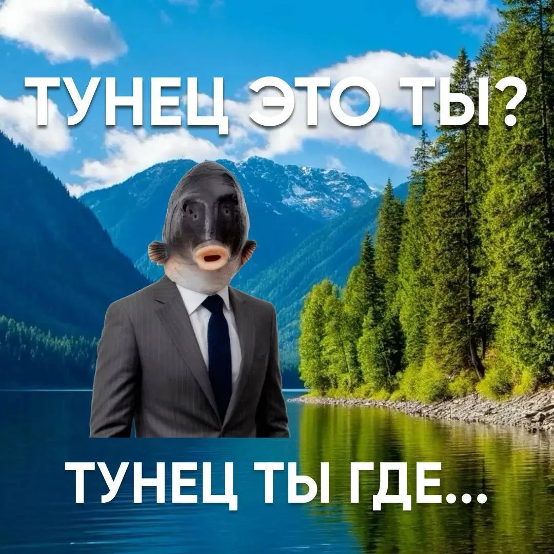 Я на Телецком, но не говорите никому! 🤫

У нас там новый ресторан вкусного питания открылся — «Грил