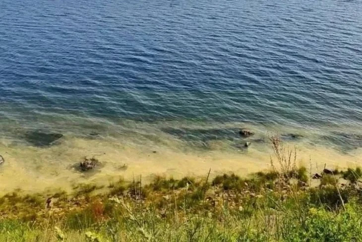 Вода на Байкале приобрела жёлто‑зелёный оттенок — причина в пыльце