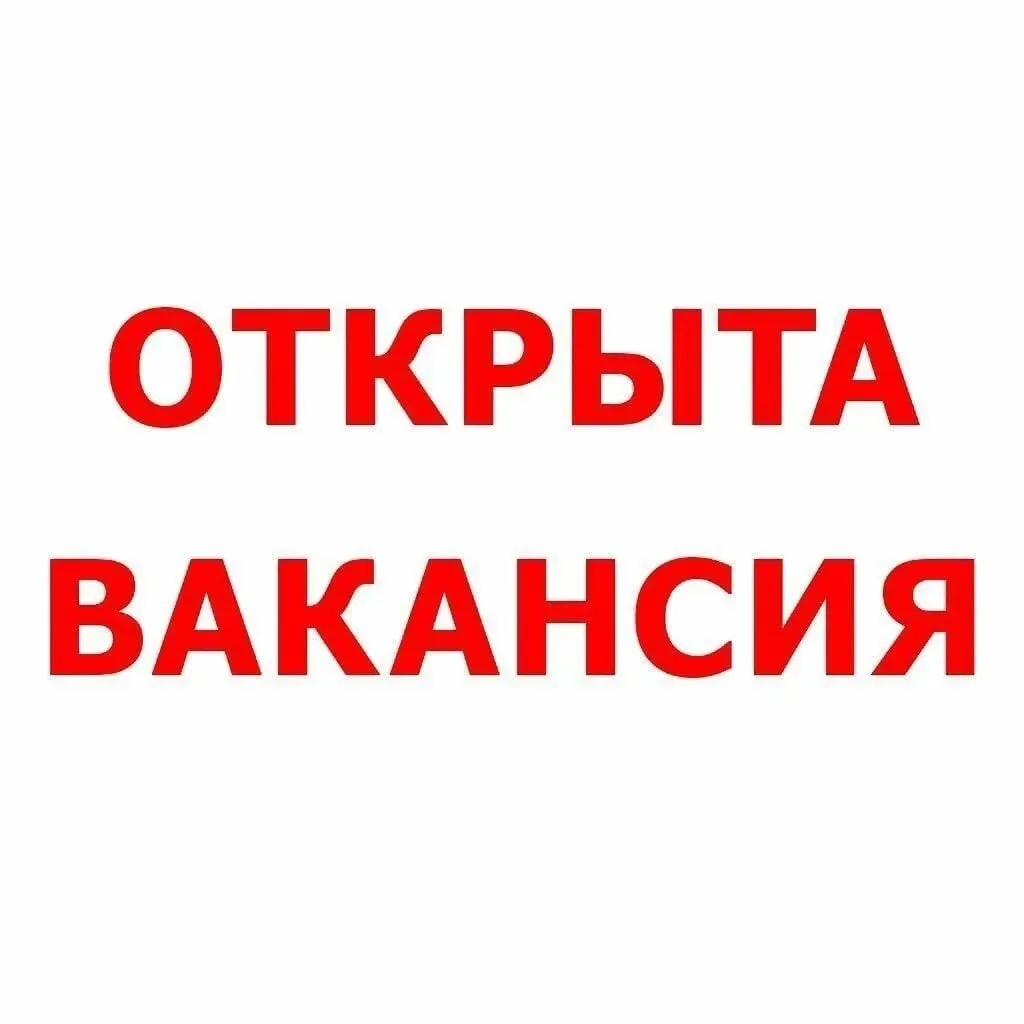 Требуется инженер по продажам монолитных огнеупоров в литейном производстве