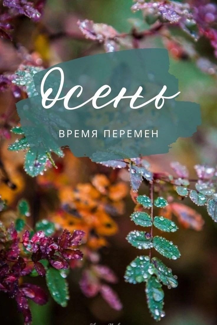 ✨🌼🕊🌼✨ Моя жизнь становится изобильной и счастливой.