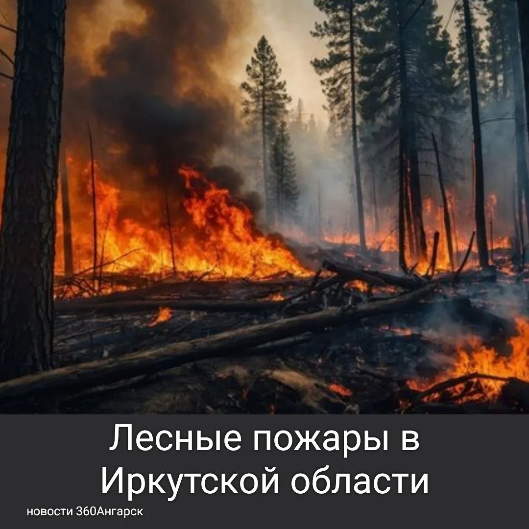На прошлой неделе лесопожарные службы региона столкнулись с серьезными вызовами из-за сухой погоды и