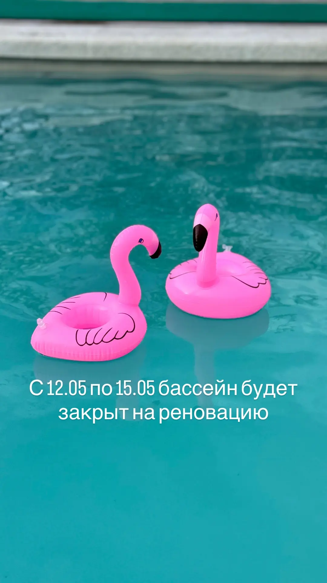 Уважаемые гости!