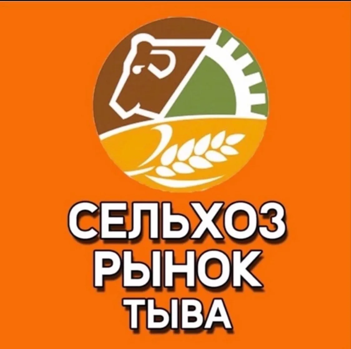 Наши группы рекомендуют своим друзьям и знакомым. С нами уже 4000 подписчиков 🔥