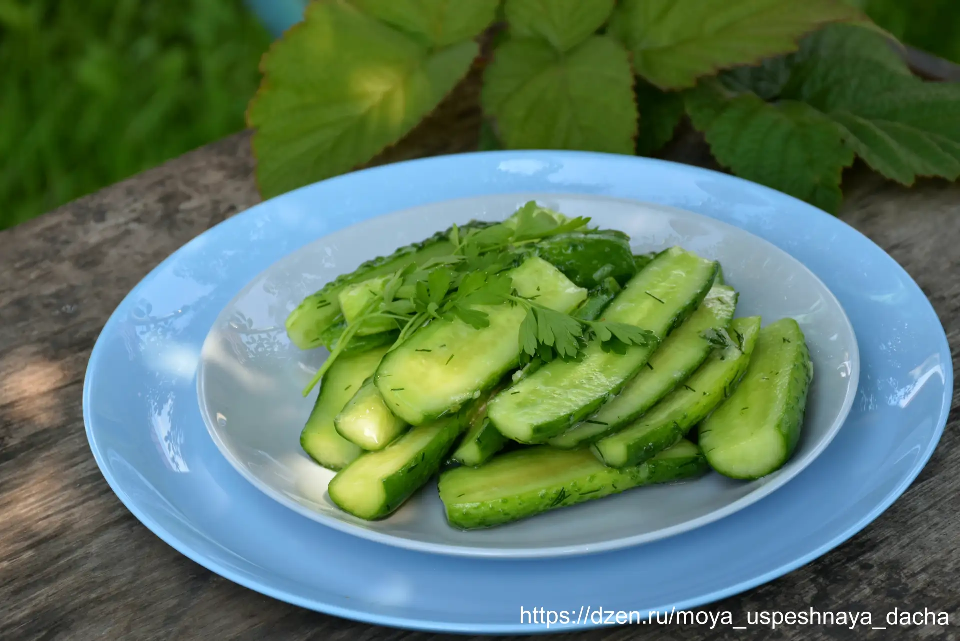 📌 Настолько вкусные огурцы, что ешь и не можешь остановиться: мой любимый рецепт.