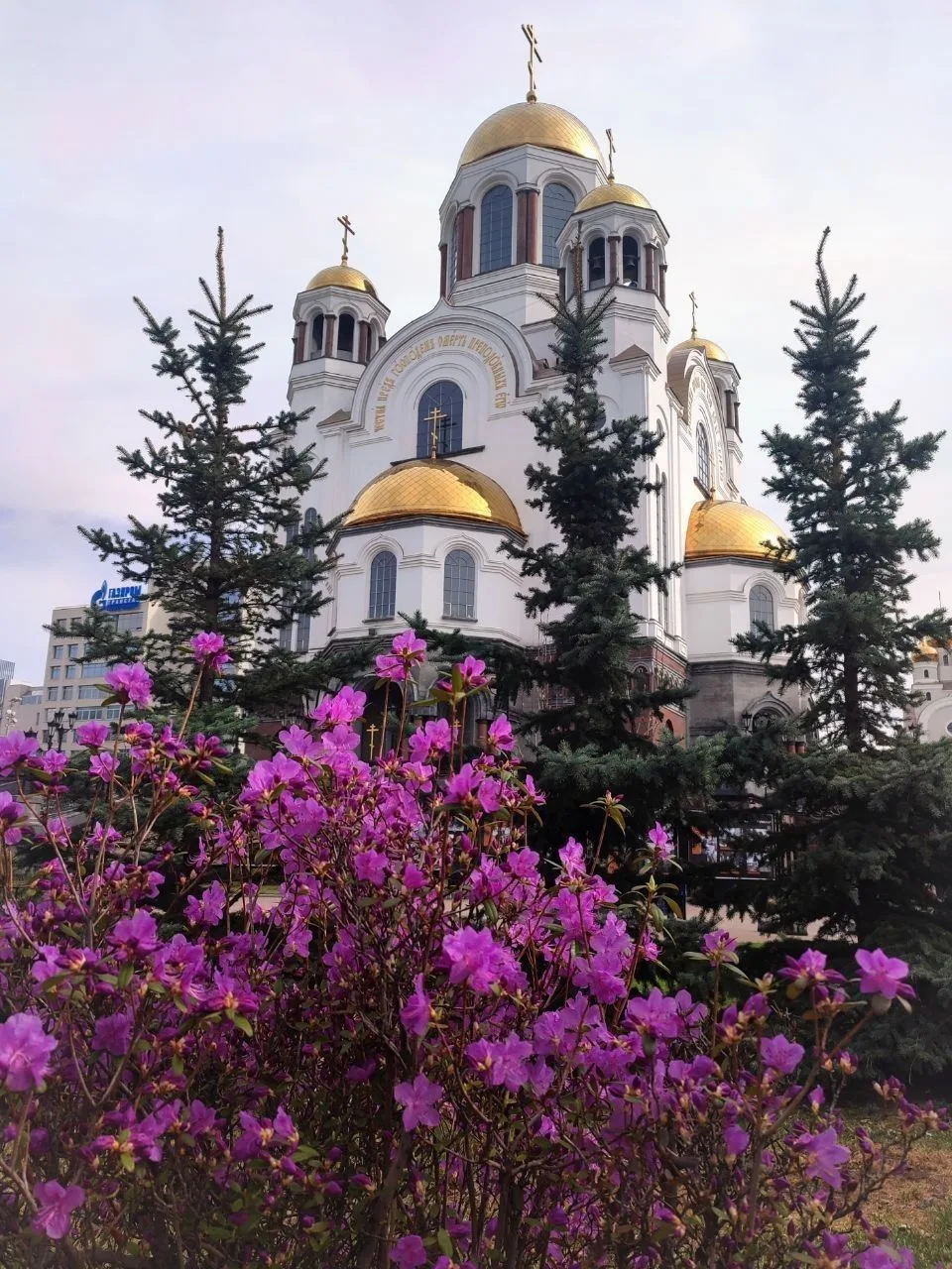 Братья и сестры! Напоминаем, что сегодня в Храме на Крови в 19 часов, состоится духовно...