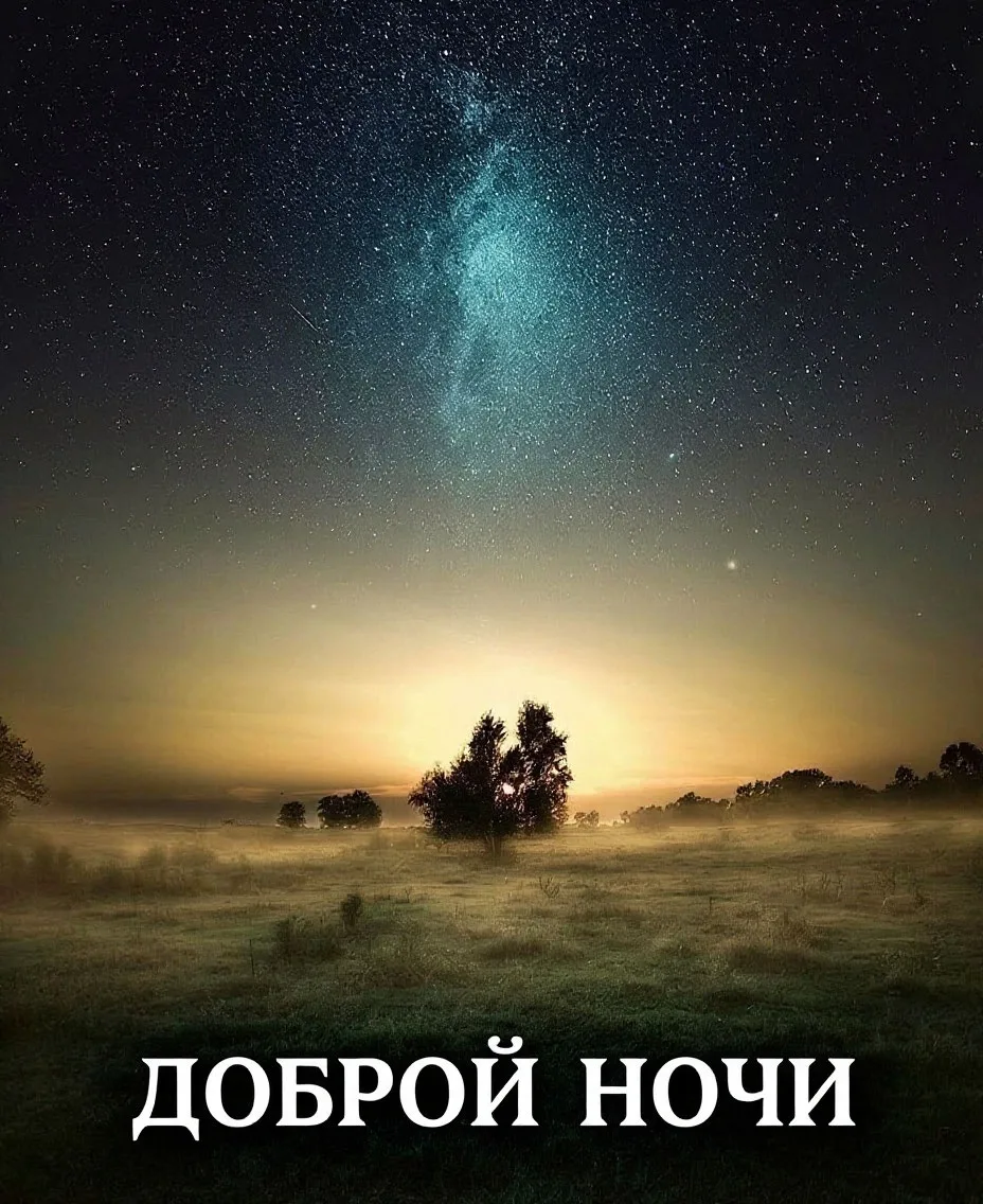 Доброй, тихой и спокойной ночи всем участникам канала✨Пускай она будет сладкой и мирной...