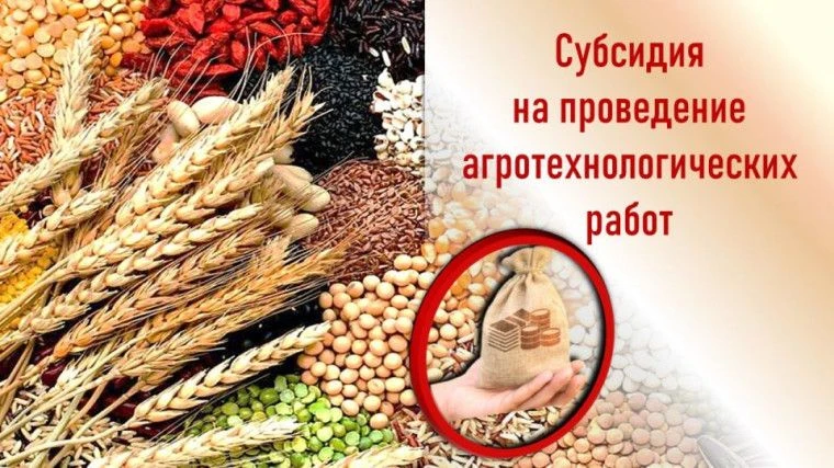 ОБЪЯВЛЕНИЕ О ПРОВЕДЕНИИ ОТБОРА ПОЛУЧАТЕЛЕЙ СУБСИДИИ