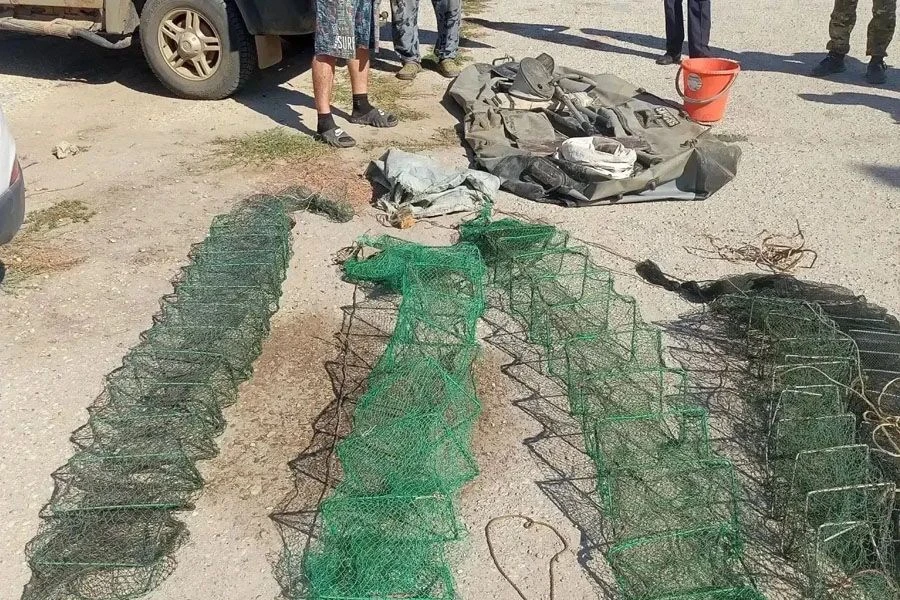 350 раков на 80 тысяч: браконьеров задержали на Цимлянском водохранилище