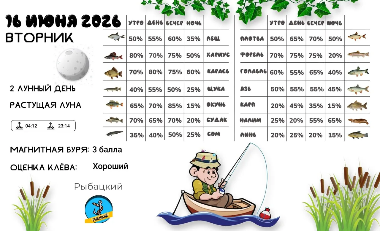 Прогноз клёва на 16 июня по фазе и состоянию луны 🎣

Молодой человек первый раз попал на рыбалку и 