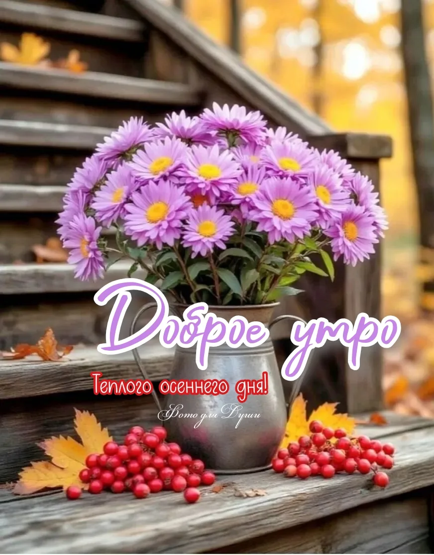 ДОБРОЕ  УТРО