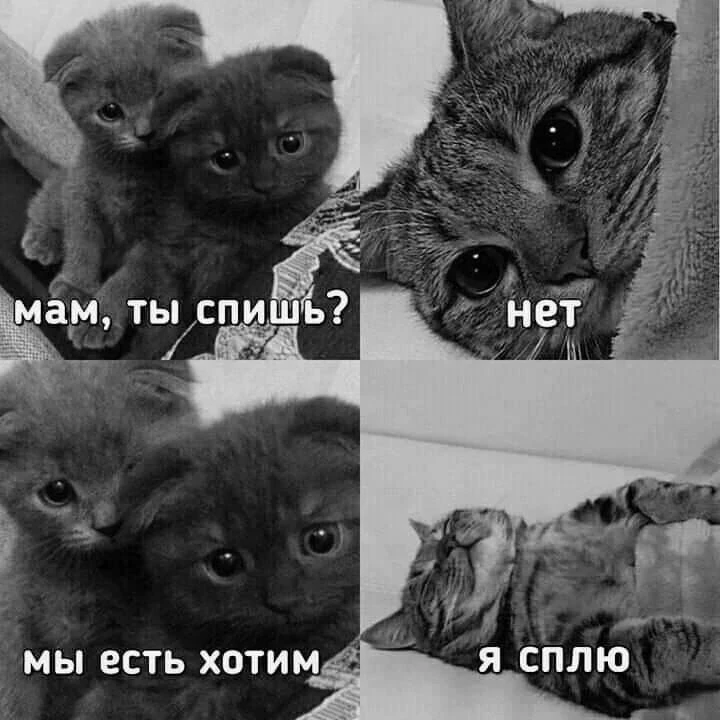 Не много юмора😄