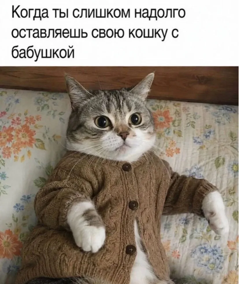 Подписывайтесь на Саваничи