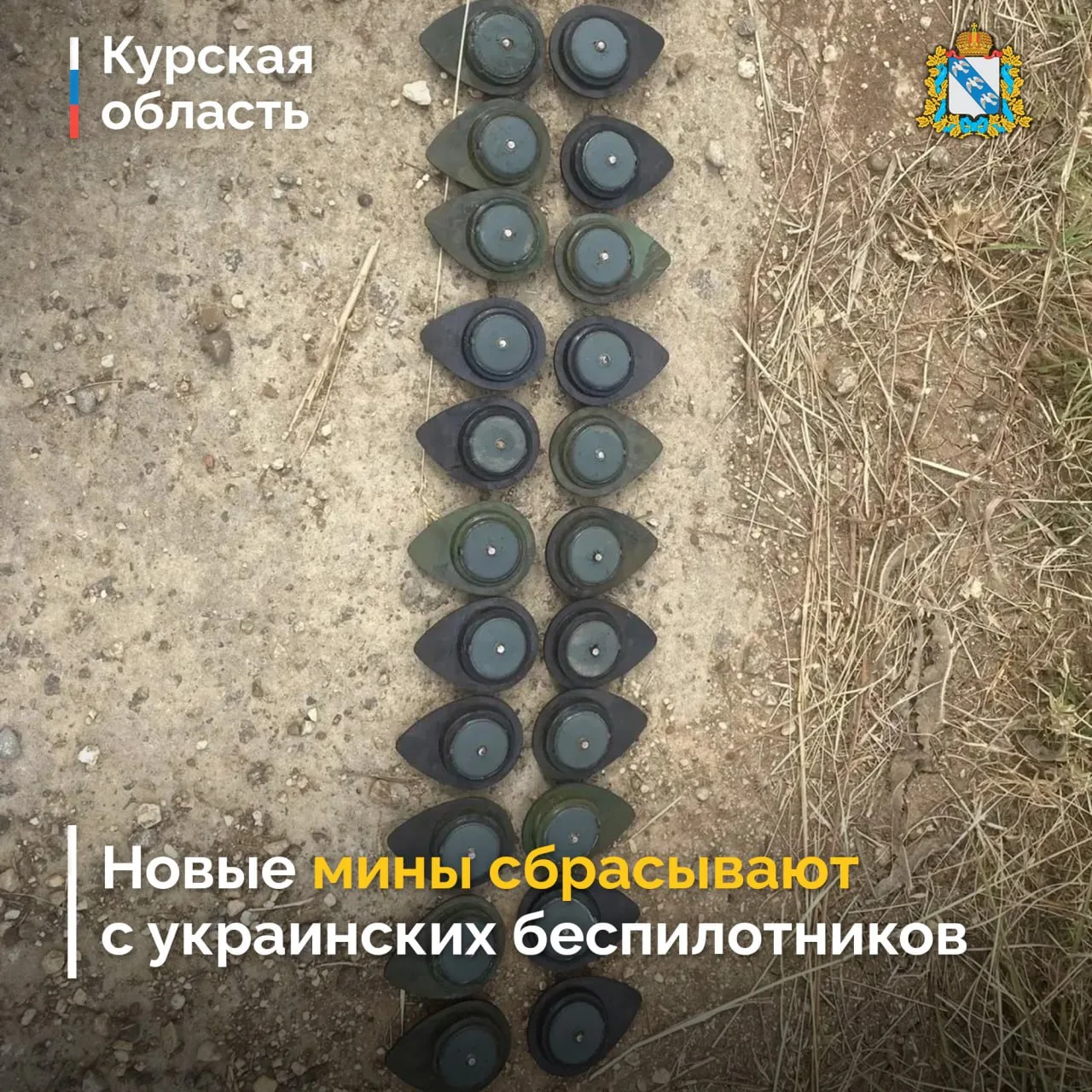❗️ В приграничье Курской области могут появиться новые мины ВСУ

ВСУ начали применять новые противоп