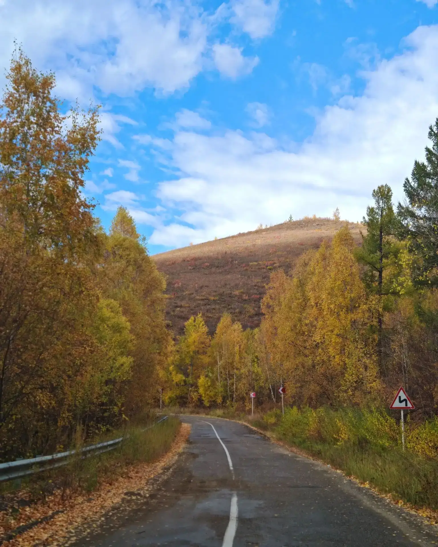 🌲🌳На 5 октября 2026 года лесопожарная обстановка в Забайкальском крае остаётся стабил...